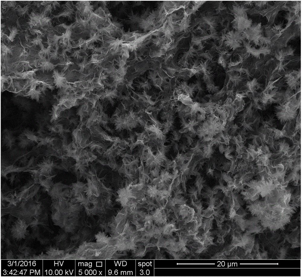 2c5dd3faa19ebeb196dfd5200e4bd3a9