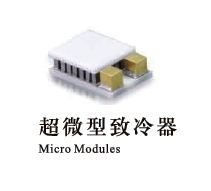 大和热磁20015/008/015A 超微型TEC