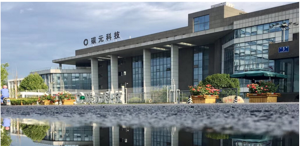 碳元科技股份有限公司