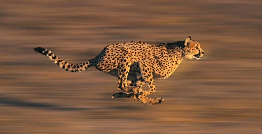 102337g8xo764wbflmsjb3