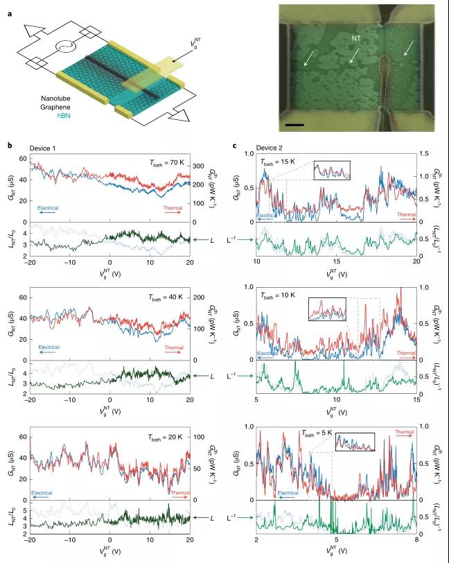 碳纳米管的电子热导
