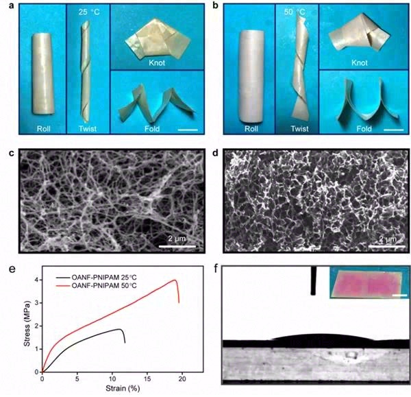 气凝胶限域相变流体实现柔性热二极管制备