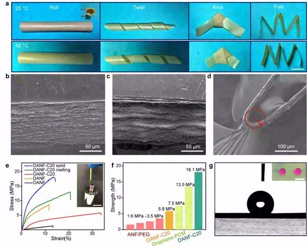 气凝胶限域相变流体实现柔性热二极管制备