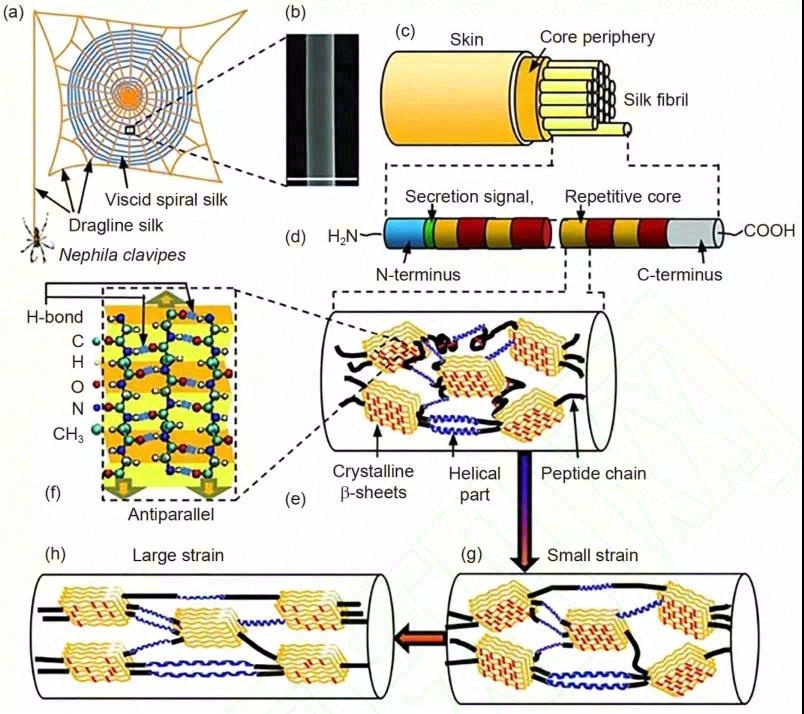 高导热聚合物复合绝缘材料研究进展