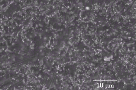 导热吸波材料的研究进展及未来发展方向