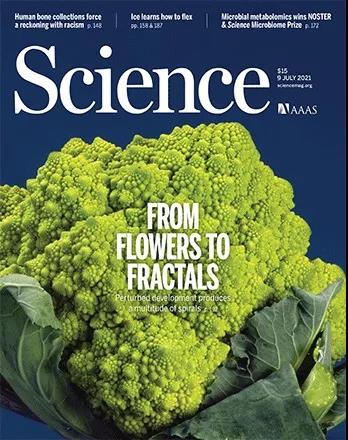 《Science》刊发北航赵立东教授课题组在电子制冷材料研究上的新进展