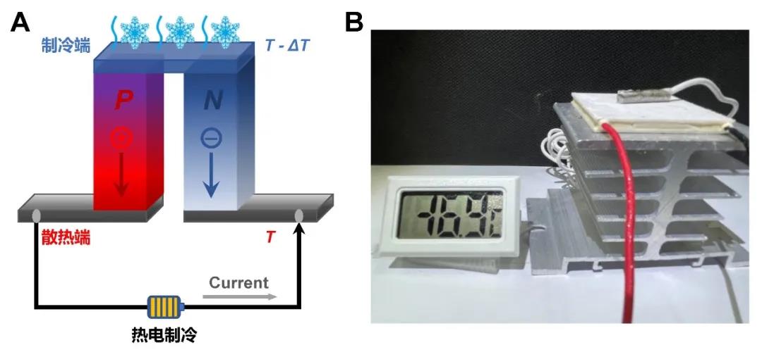《Science》刊发北航赵立东教授课题组在电子制冷材料研究上的新进展