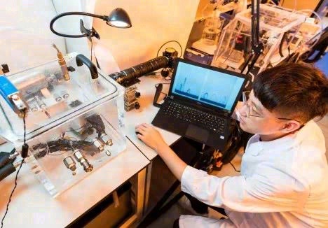 源自蚂蚁“特异功能”的制冷“黑科技”