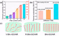 调节共价键合氮化硼/石墨烯和三维网络以实现聚合物基热界面材料的高导热性