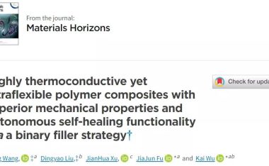 具有优异机械性能和室温自修复能力的导热软物质