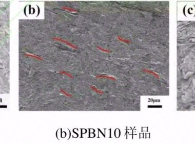 氮化硼/蚕丝导热复合材料的制备及其性能研究