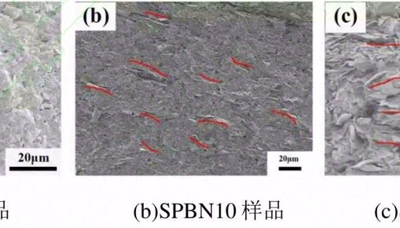 氮化硼/蚕丝导热复合材料的制备及其性能研究