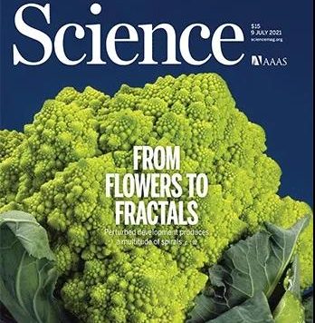 《Science》刊发北航赵立东教授课题组在电子制冷材料研究上的新进展