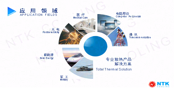 广州龙辉电子科技有限公司 （NTK）