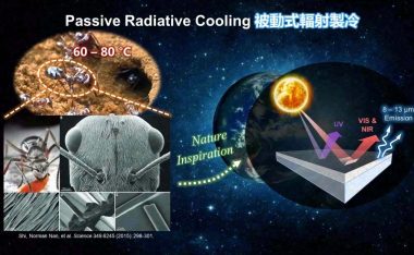 源自蚂蚁“特异功能”的制冷“黑科技”